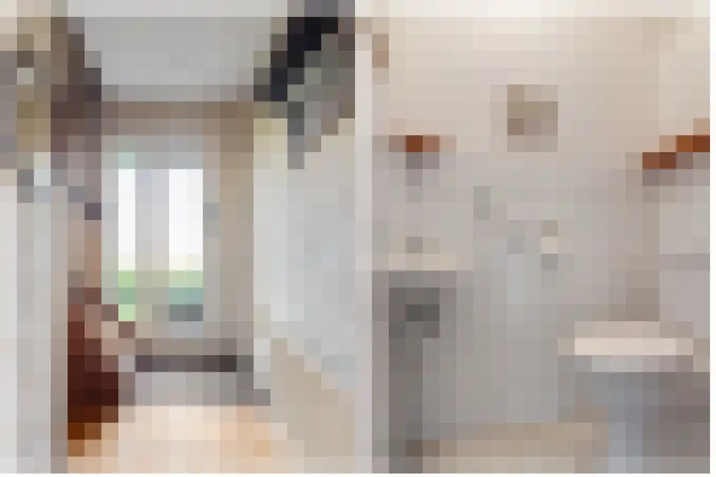 Skelte van Aysmastrjitte 18 Schettens thumbnail 9