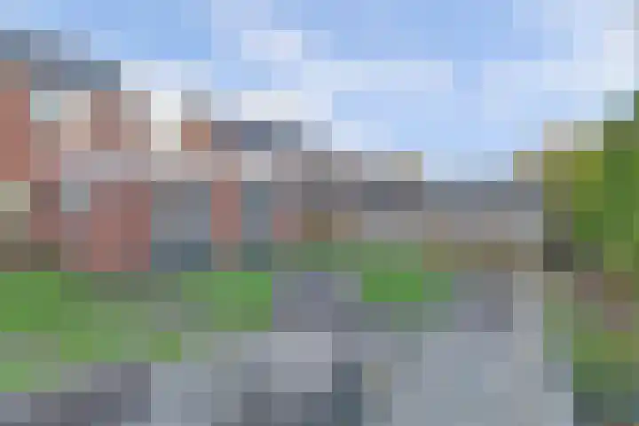 Skeltedyk 8 Koarnjum thumbnail 31