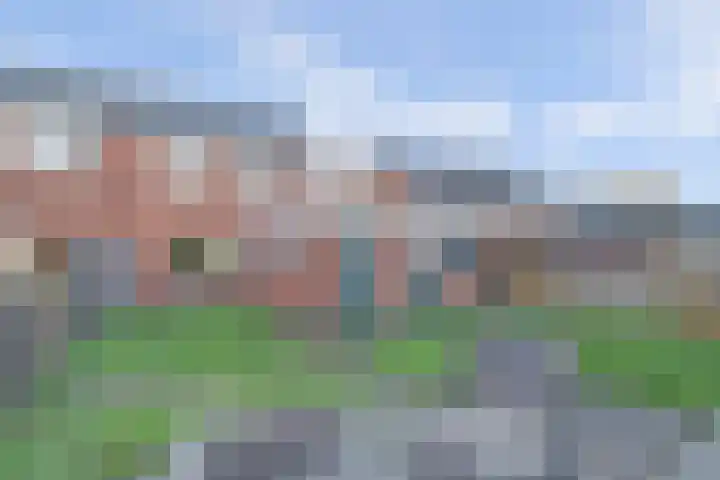 Skeltedyk 8 Koarnjum thumbnail 4