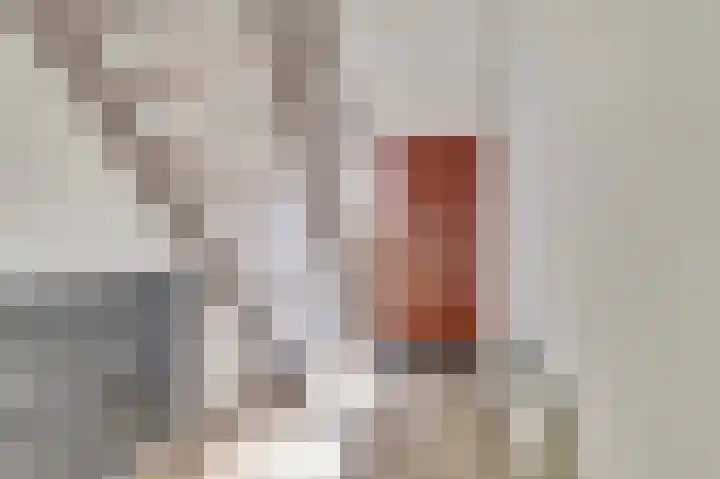 Skeltedyk 8 Koarnjum thumbnail 6