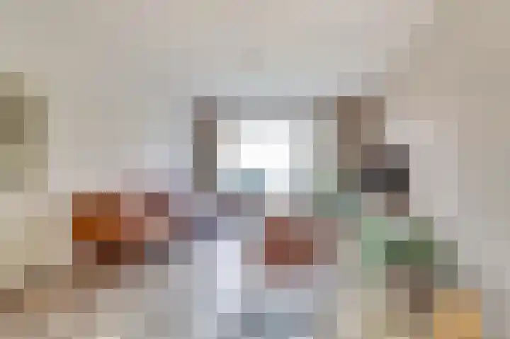 Skeltedyk 8 Koarnjum thumbnail 8