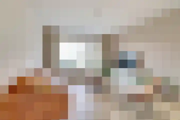Skeltedyk 8 Koarnjum thumbnail 9