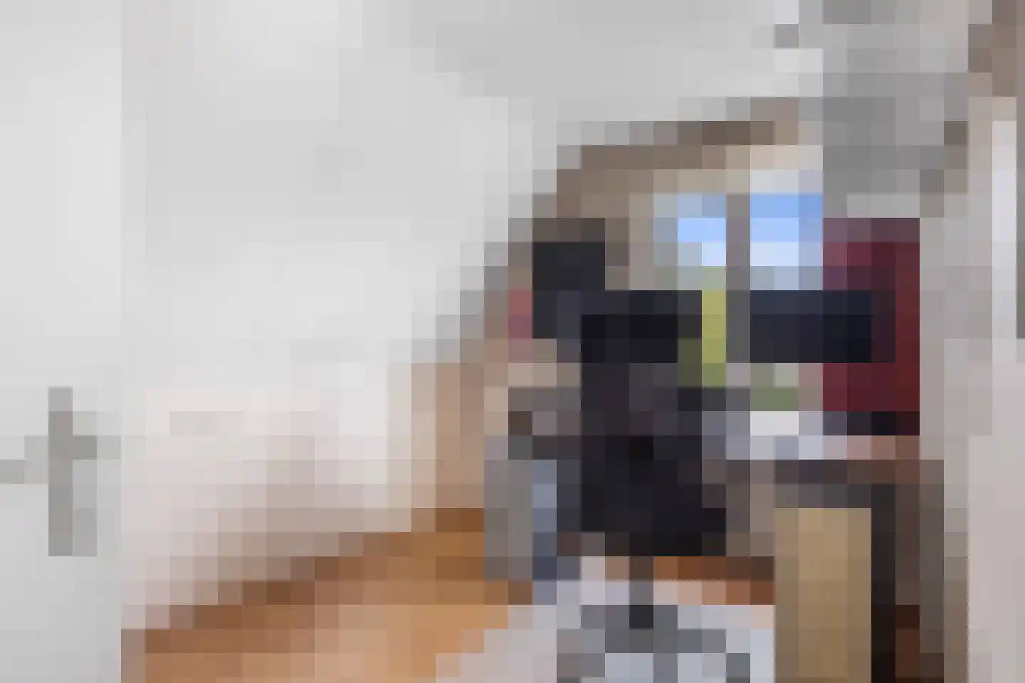 Skerwâld 9 Oosthem thumbnail 21