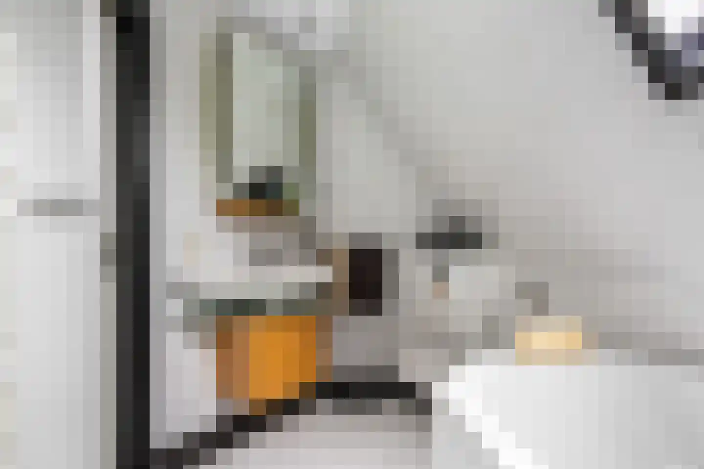 Skerwâld 9 Oosthem thumbnail 24