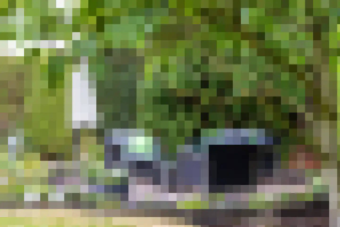 Skerwâld 9 Oosthem thumbnail 28