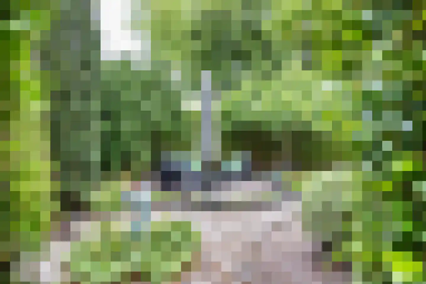 Skerwâld 9 Oosthem thumbnail 29