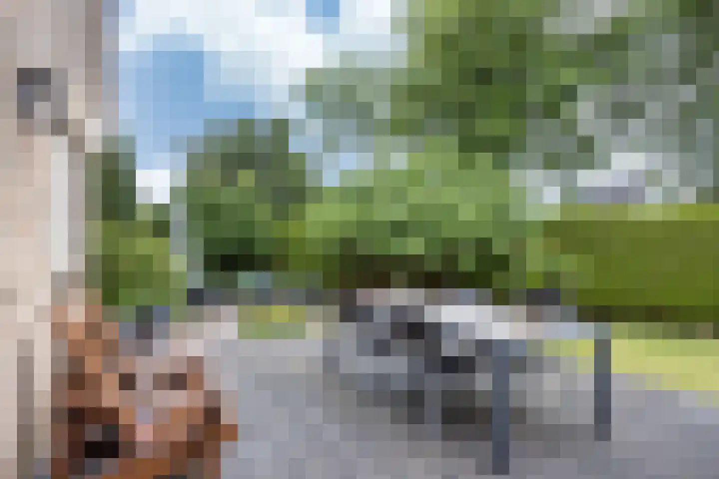 Skerwâld 9 Oosthem thumbnail 32