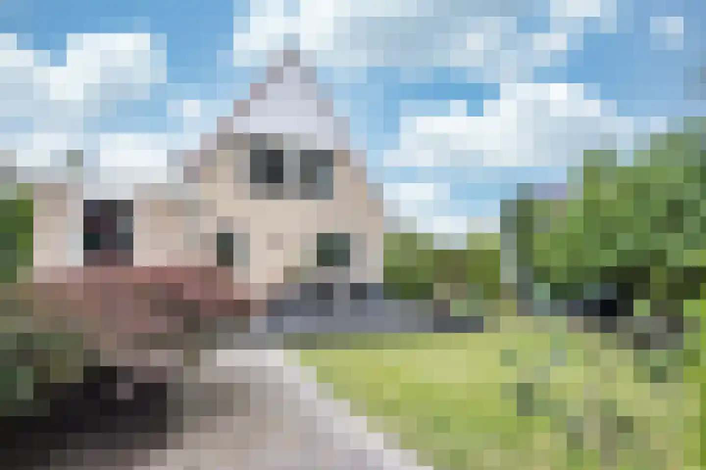 Skerwâld 9 Oosthem thumbnail 33