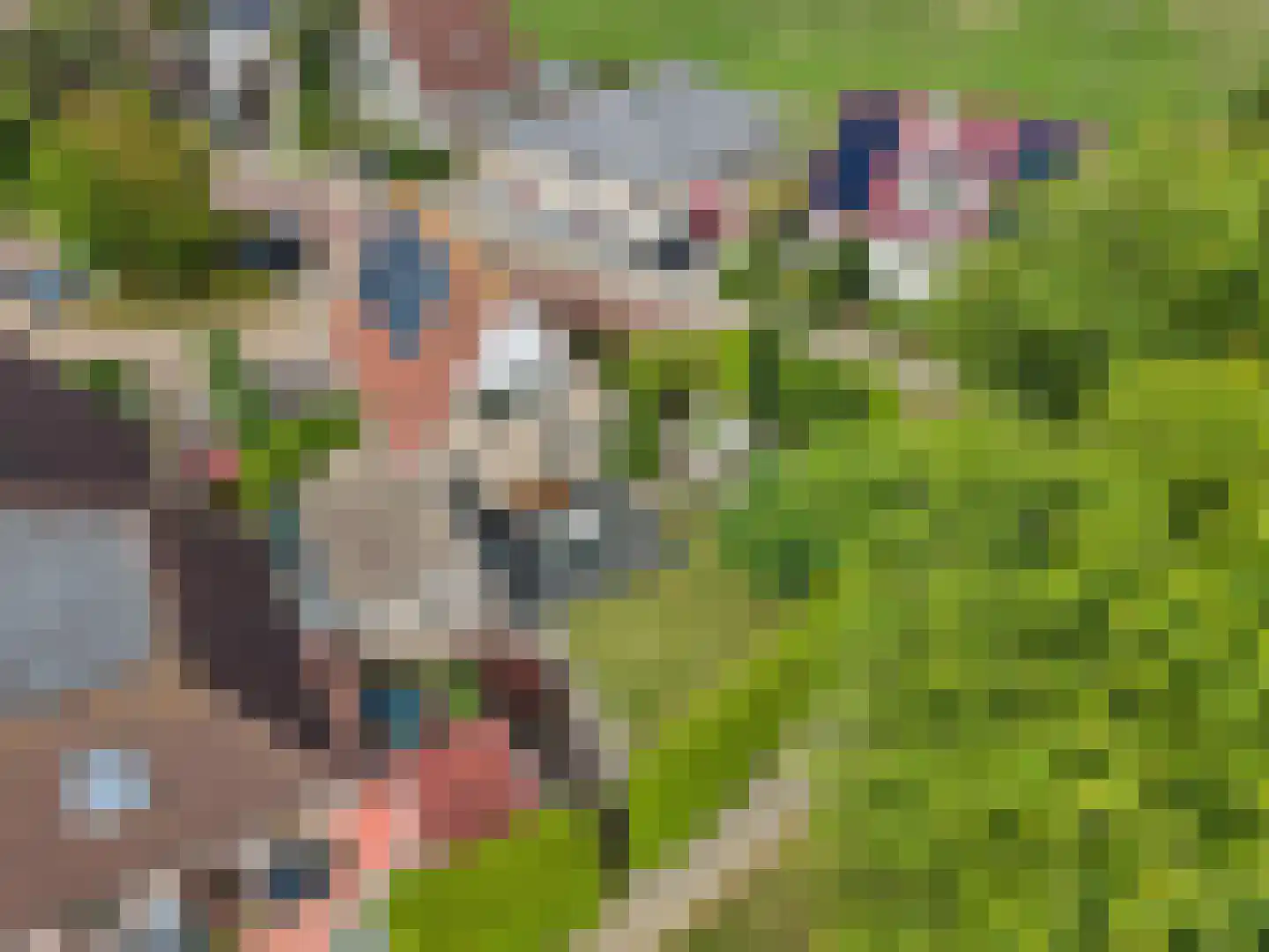 Skerwâld 9 Oosthem thumbnail 37