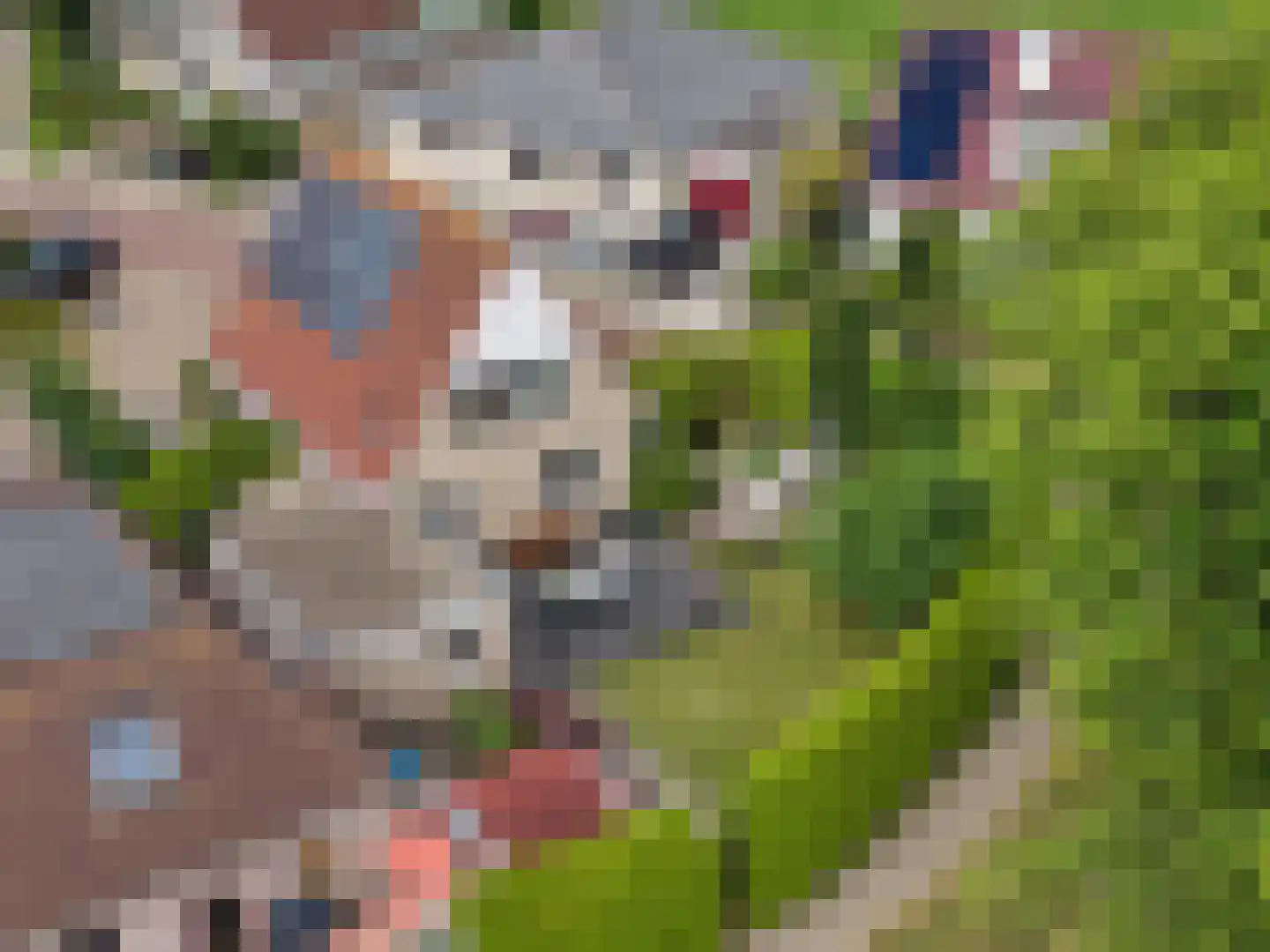 Skerwâld 9 Oosthem thumbnail 38