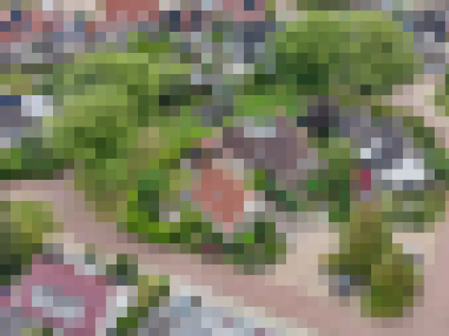 Skerwâld 9 Oosthem thumbnail 39