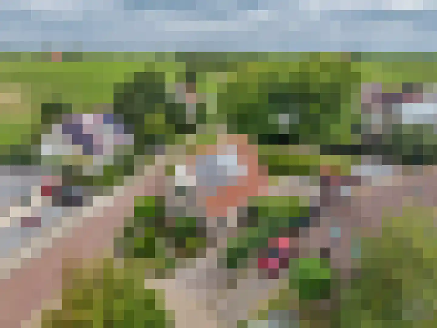 Skerwâld 9 Oosthem thumbnail 40