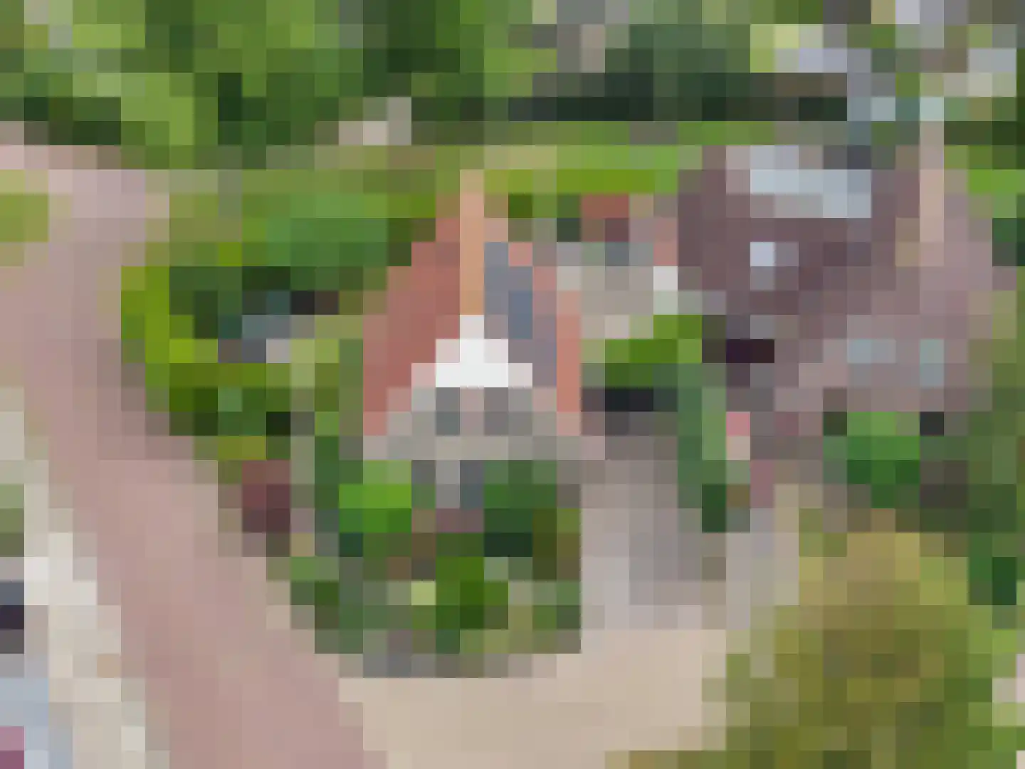 Skerwâld 9 Oosthem thumbnail 41