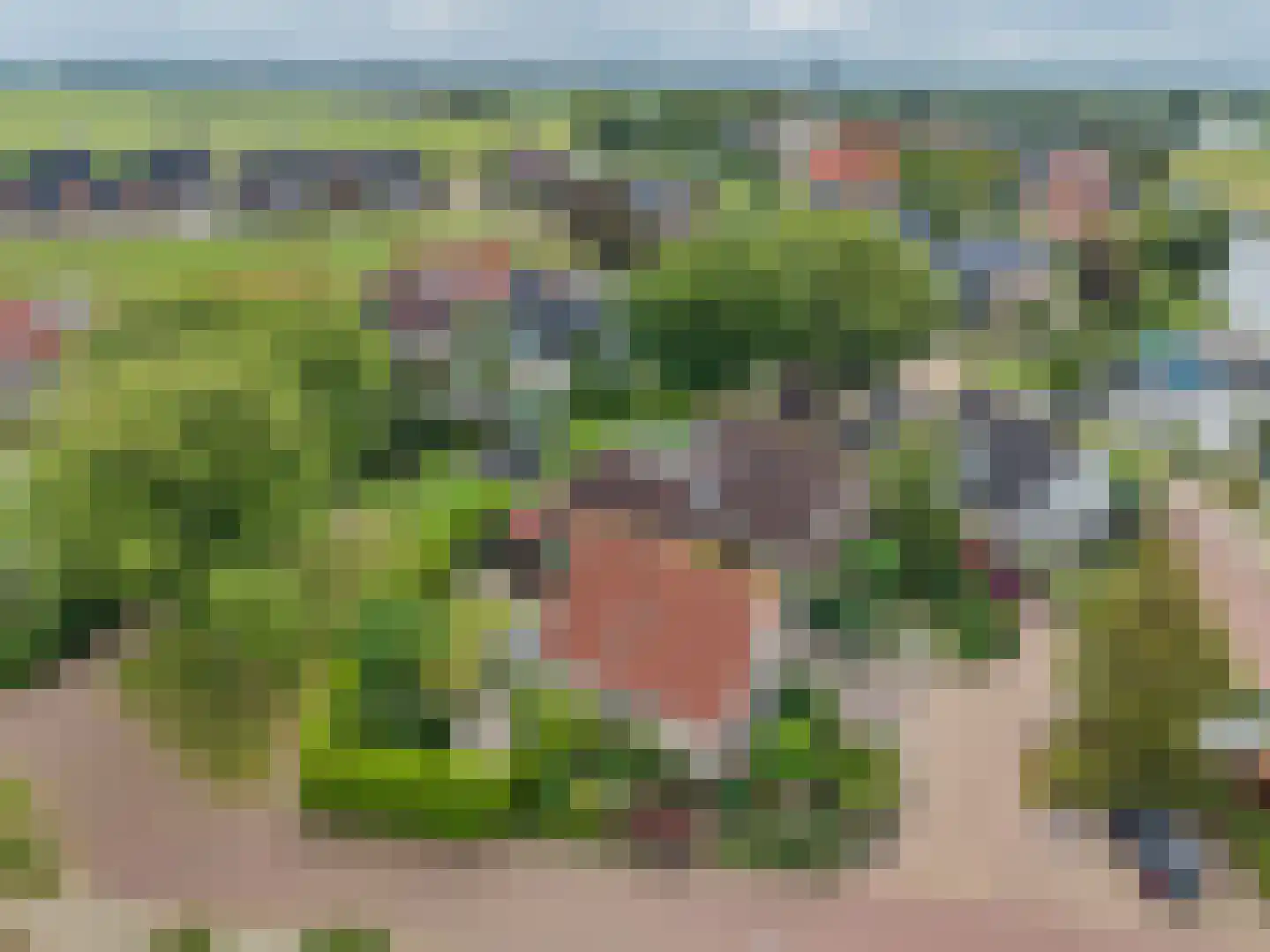 Skerwâld 9 Oosthem thumbnail 47
