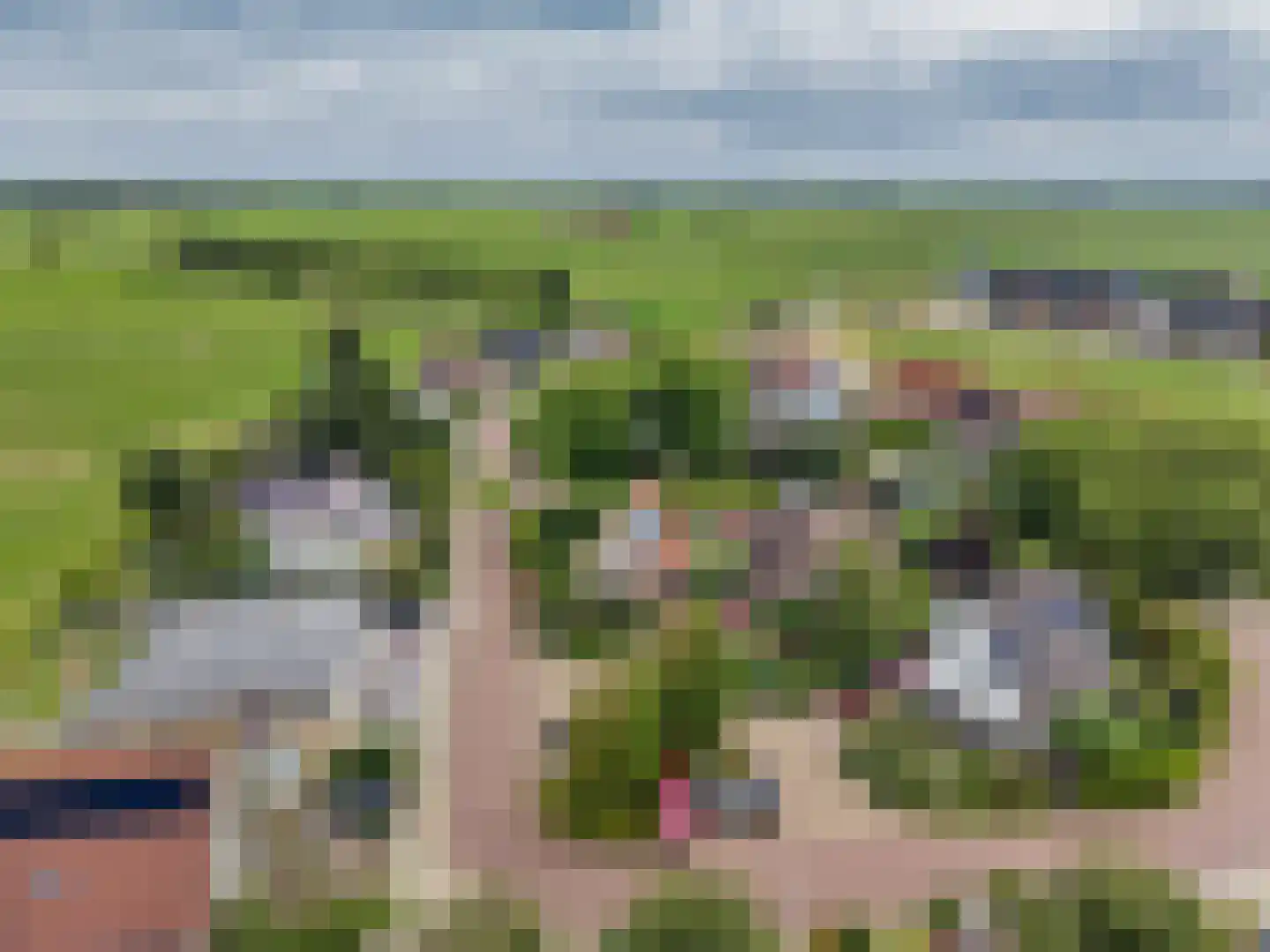 Skerwâld 9 Oosthem thumbnail 48