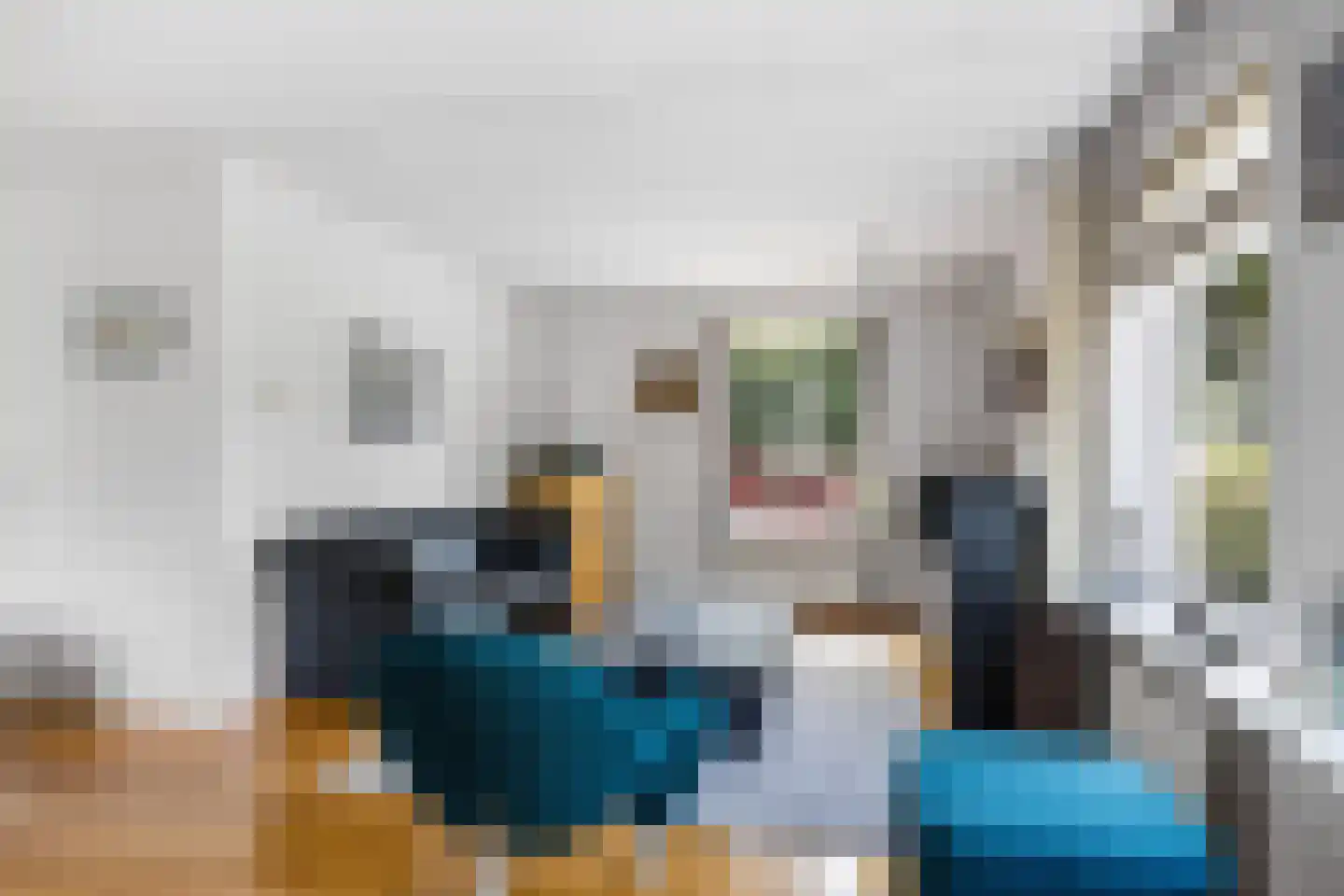 Skerwâld 9 Oosthem thumbnail 6