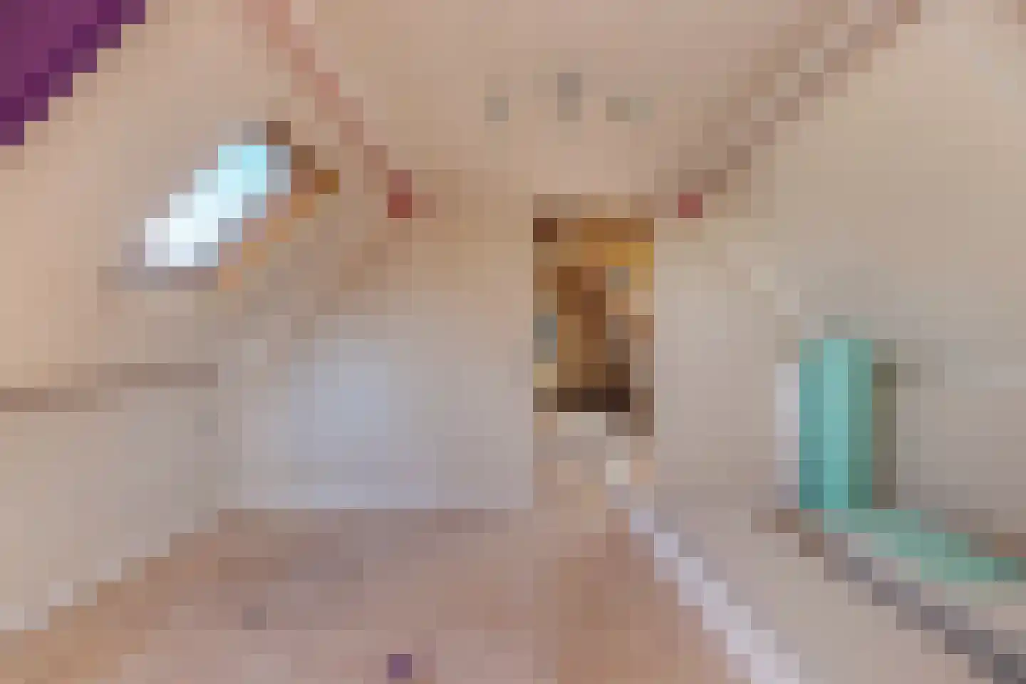 Skieppedrift 10 Siegerswoude thumbnail 22