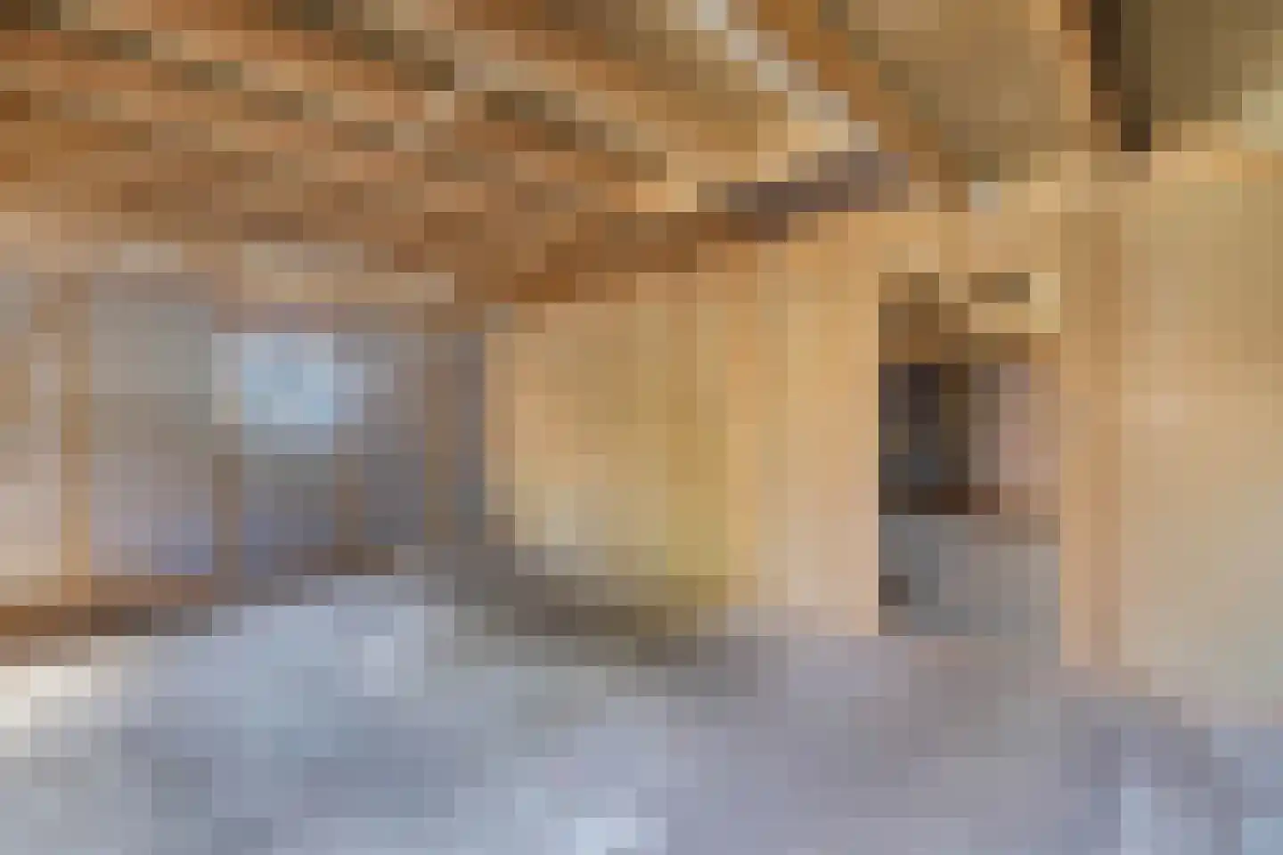 Skieppedrift 10 Siegerswoude thumbnail 28