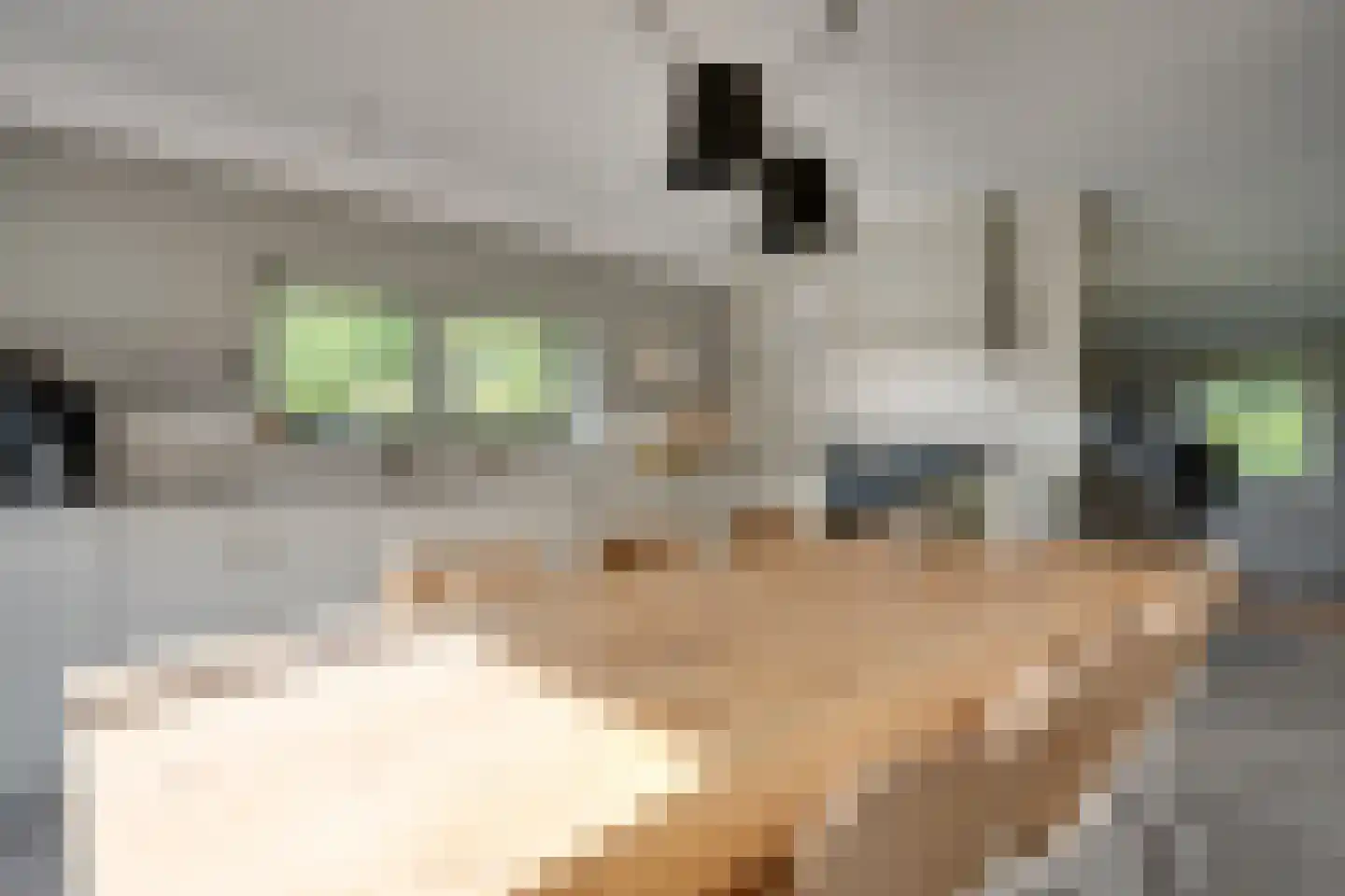 Skieppedrifte 15 Drogeham thumbnail 12