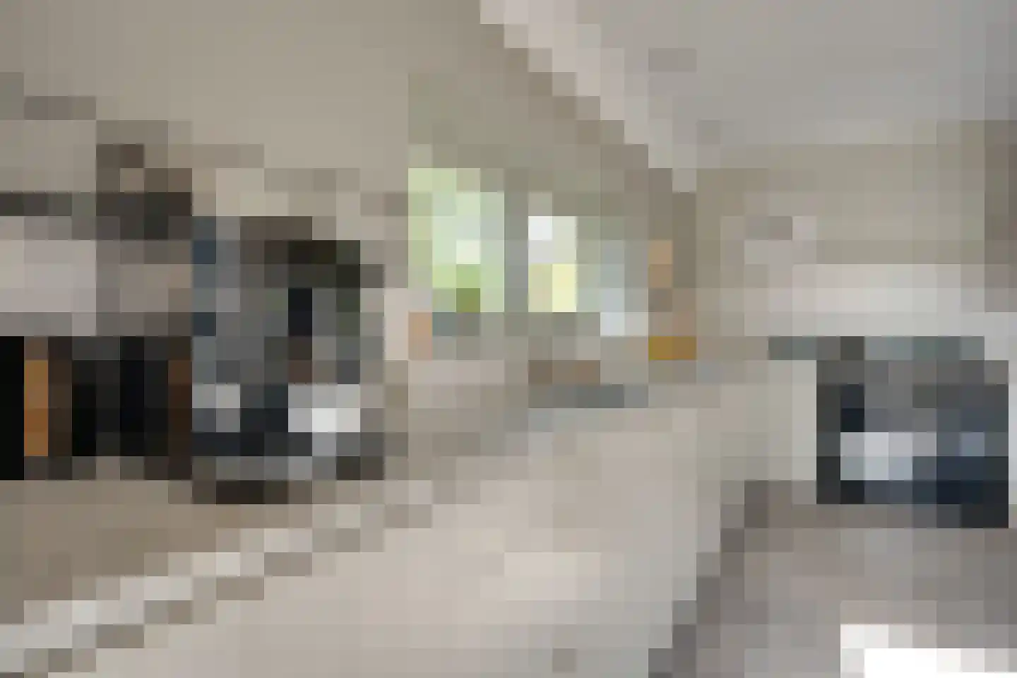 Skieppedrifte 15 Drogeham thumbnail 13