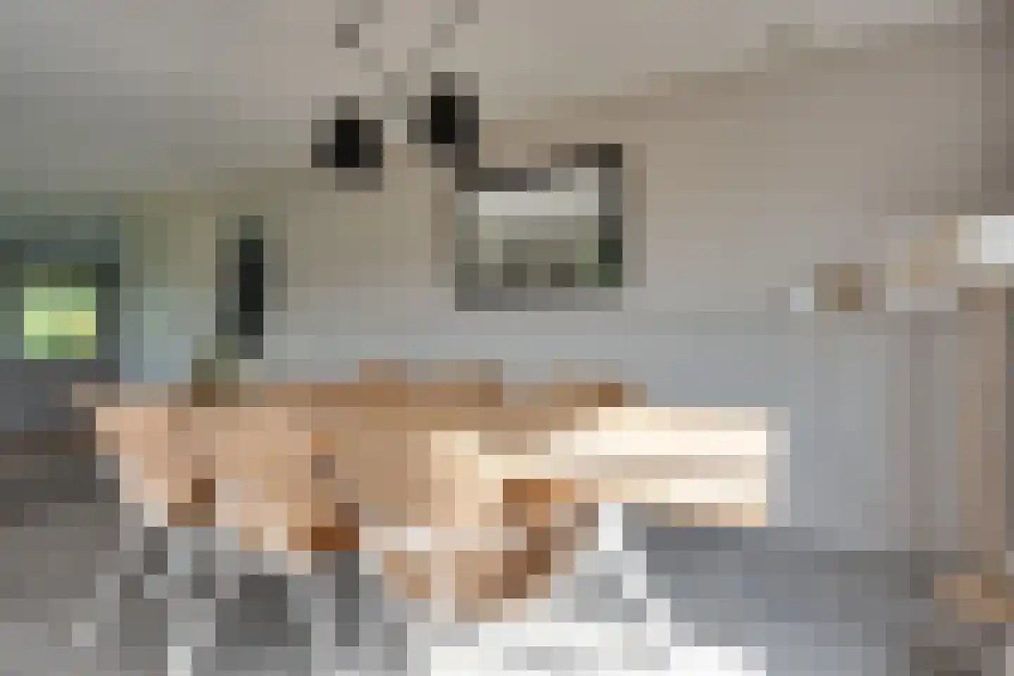 Skieppedrifte 15 Drogeham thumbnail 15