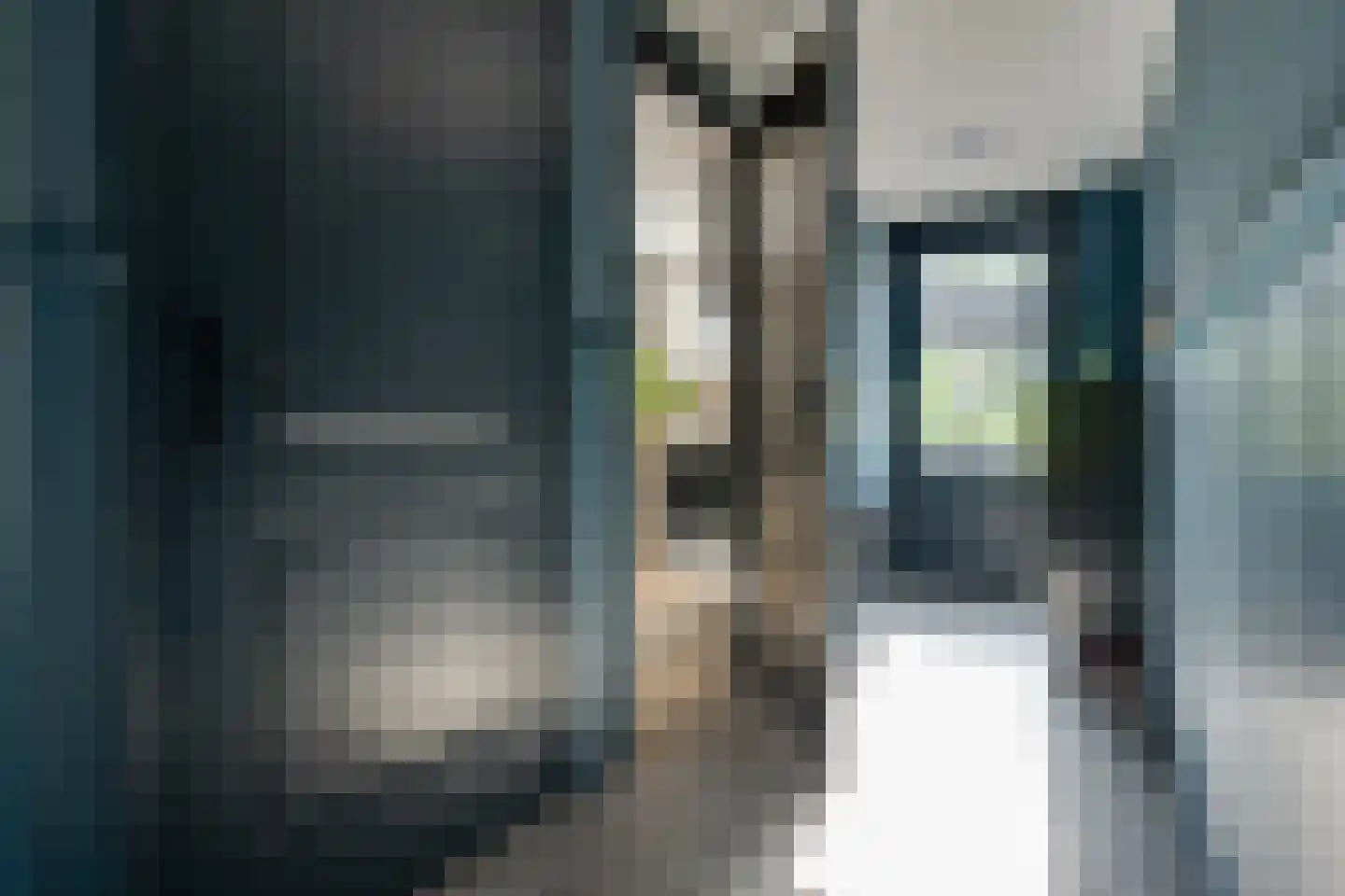 Skieppedrifte 15 Drogeham thumbnail 21