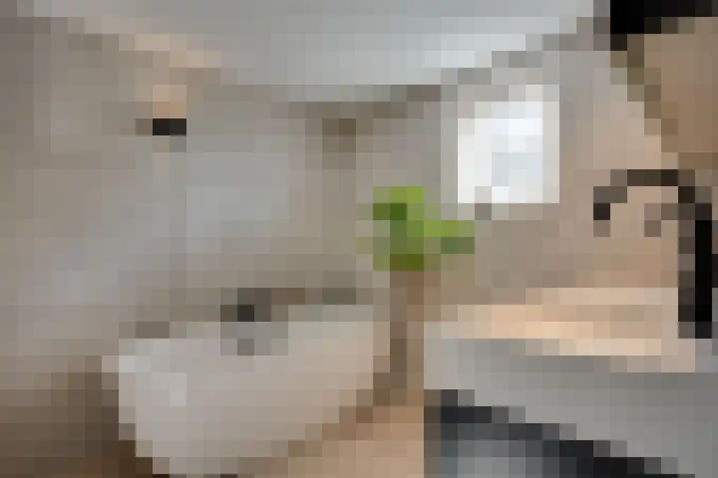 Skieppedrifte 15 Drogeham thumbnail 22