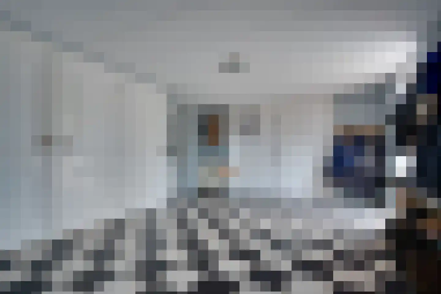 Skieppedrifte 15 Drogeham thumbnail 27