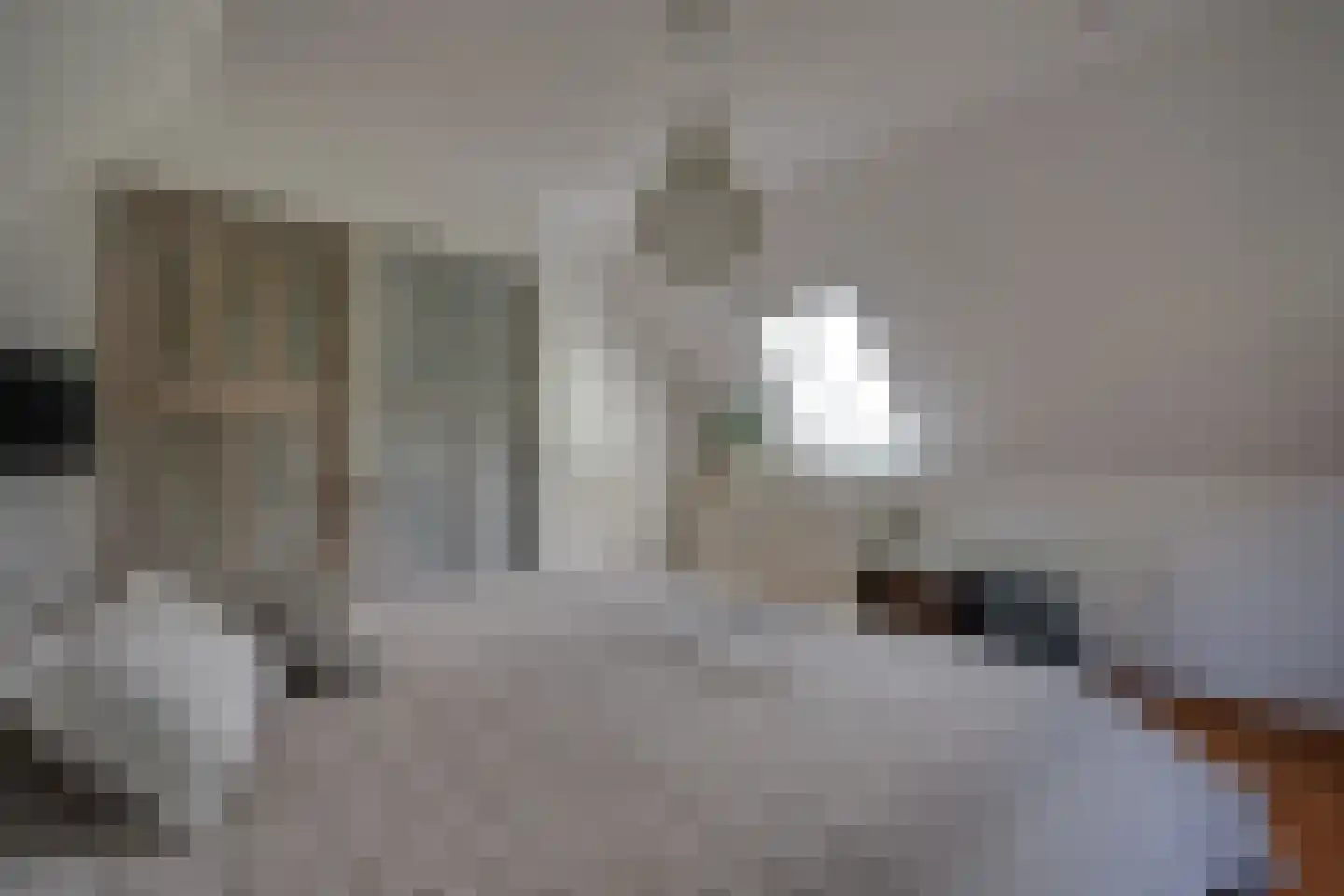 Skieppedrifte 15 Drogeham thumbnail 31
