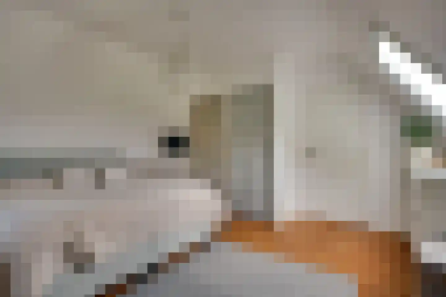 Skieppedrifte 15 Drogeham thumbnail 32