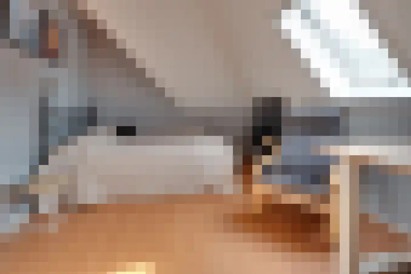 Skieppedrifte 15 Drogeham thumbnail 35