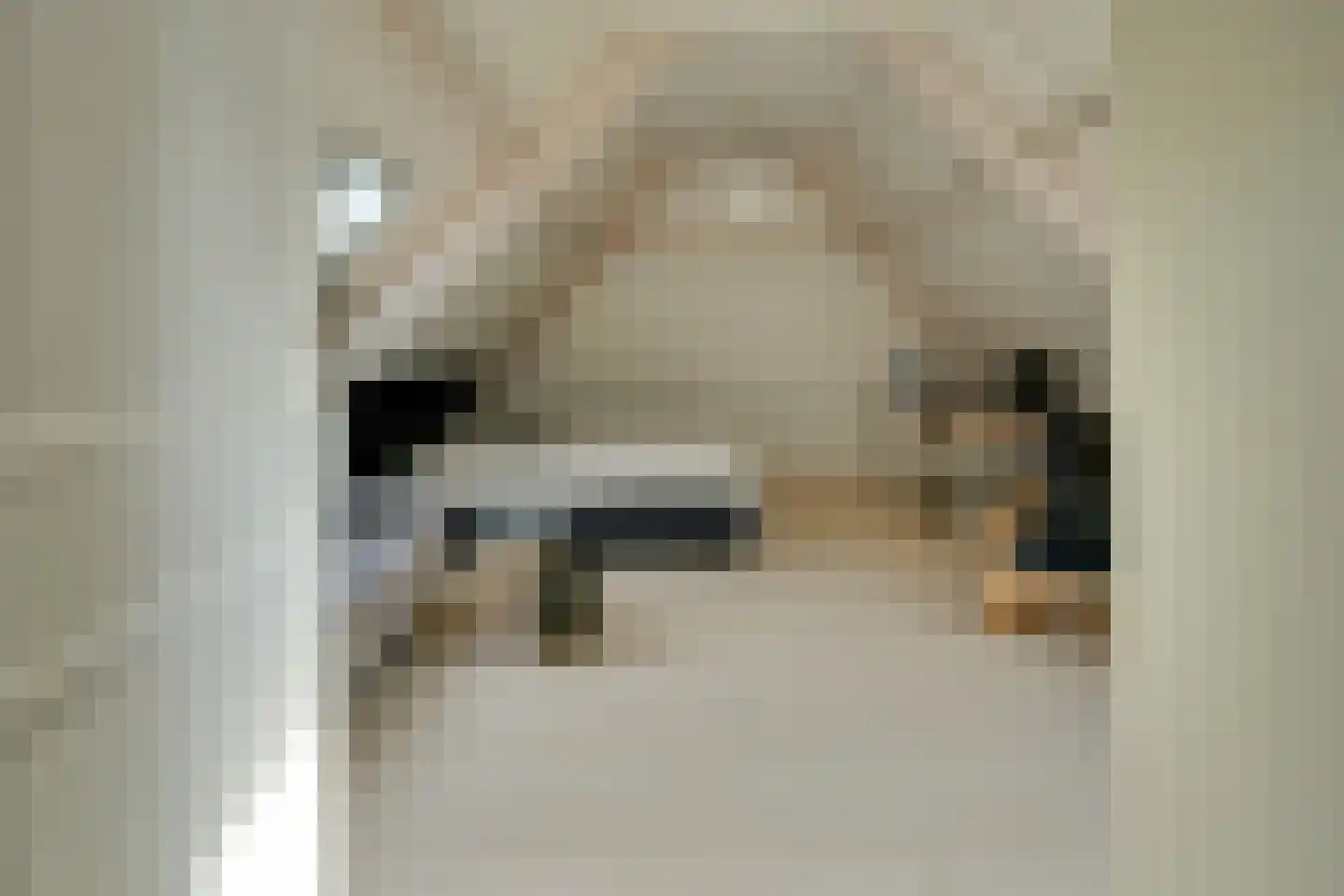 Skieppedrifte 15 Drogeham thumbnail 37