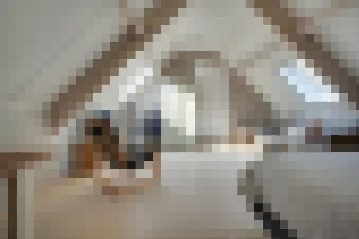 Skieppedrifte 15 Drogeham thumbnail 39
