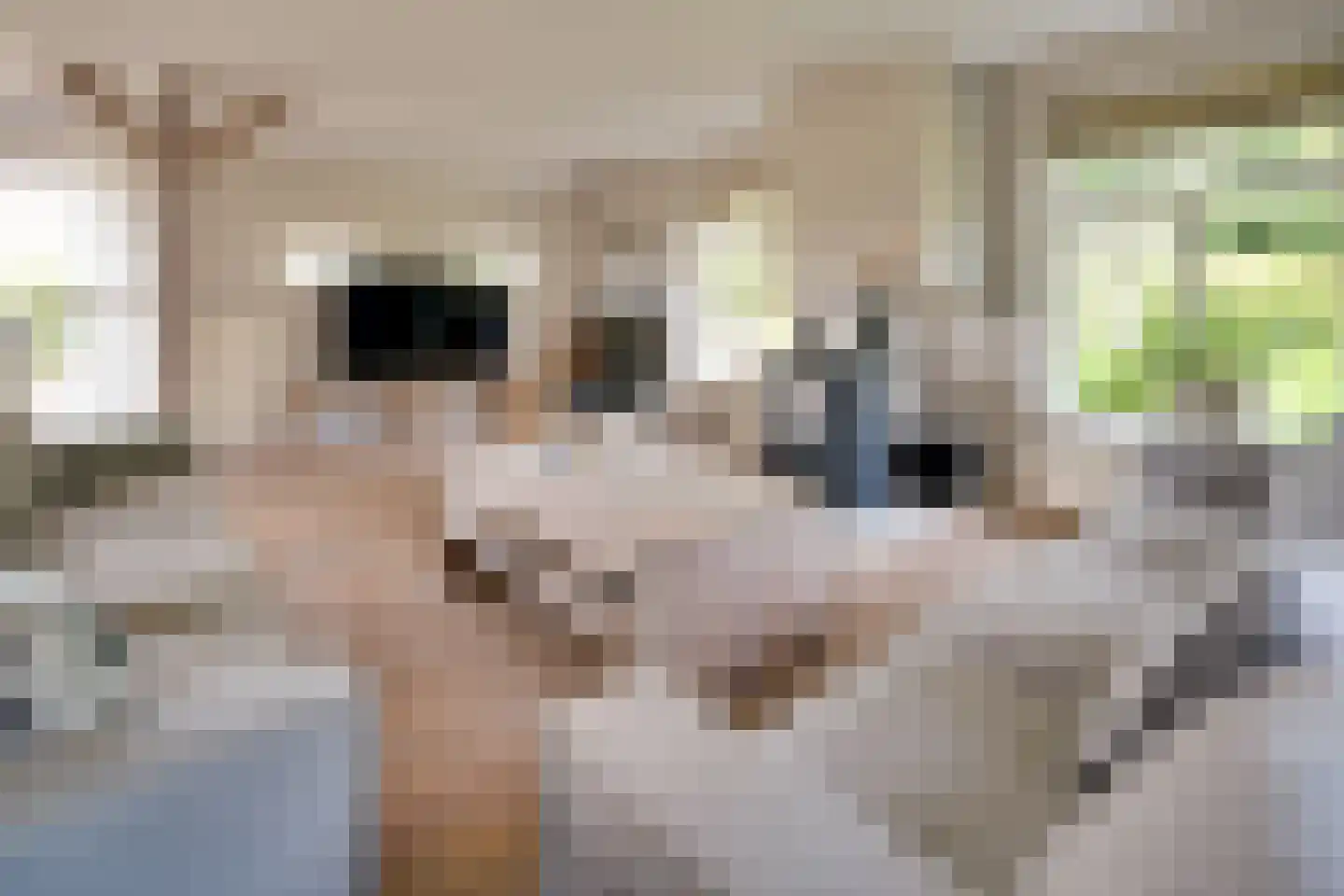 Skieppedrifte 15 Drogeham thumbnail 4