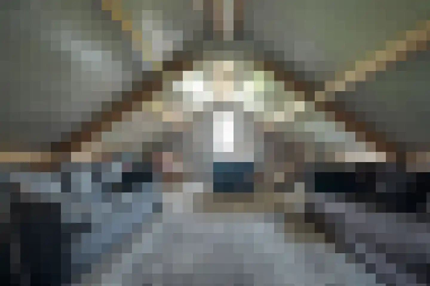 Skieppedrifte 15 Drogeham thumbnail 45