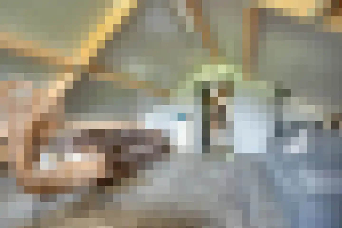 Skieppedrifte 15 Drogeham thumbnail 47