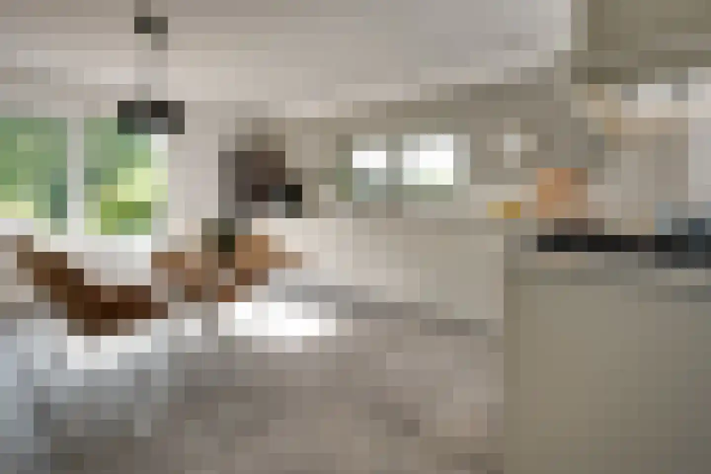 Skieppedrifte 15 Drogeham thumbnail 5