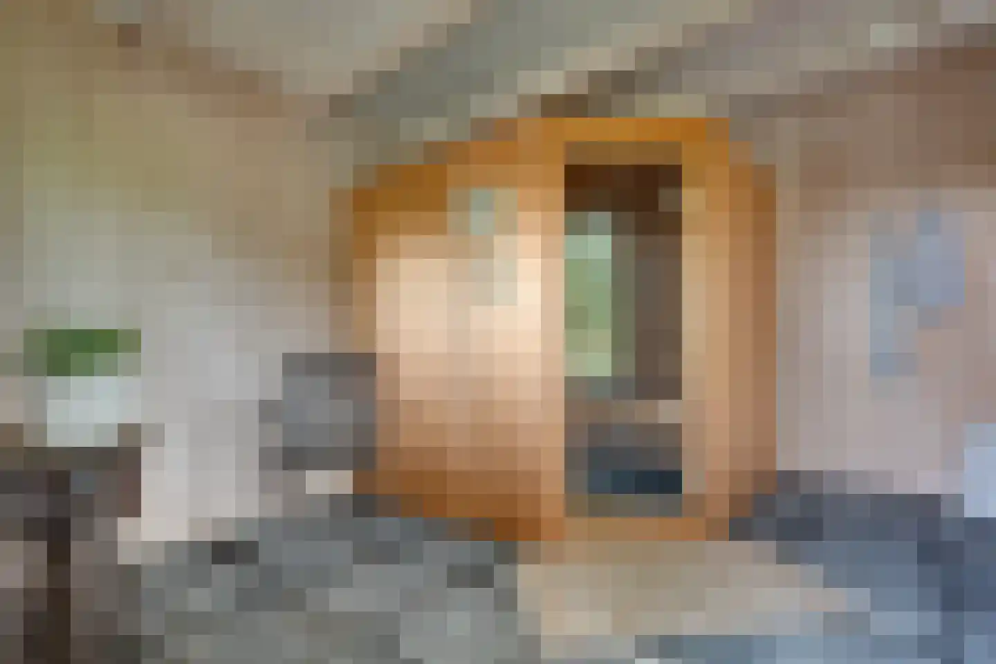 Skieppedrifte 15 Drogeham thumbnail 50