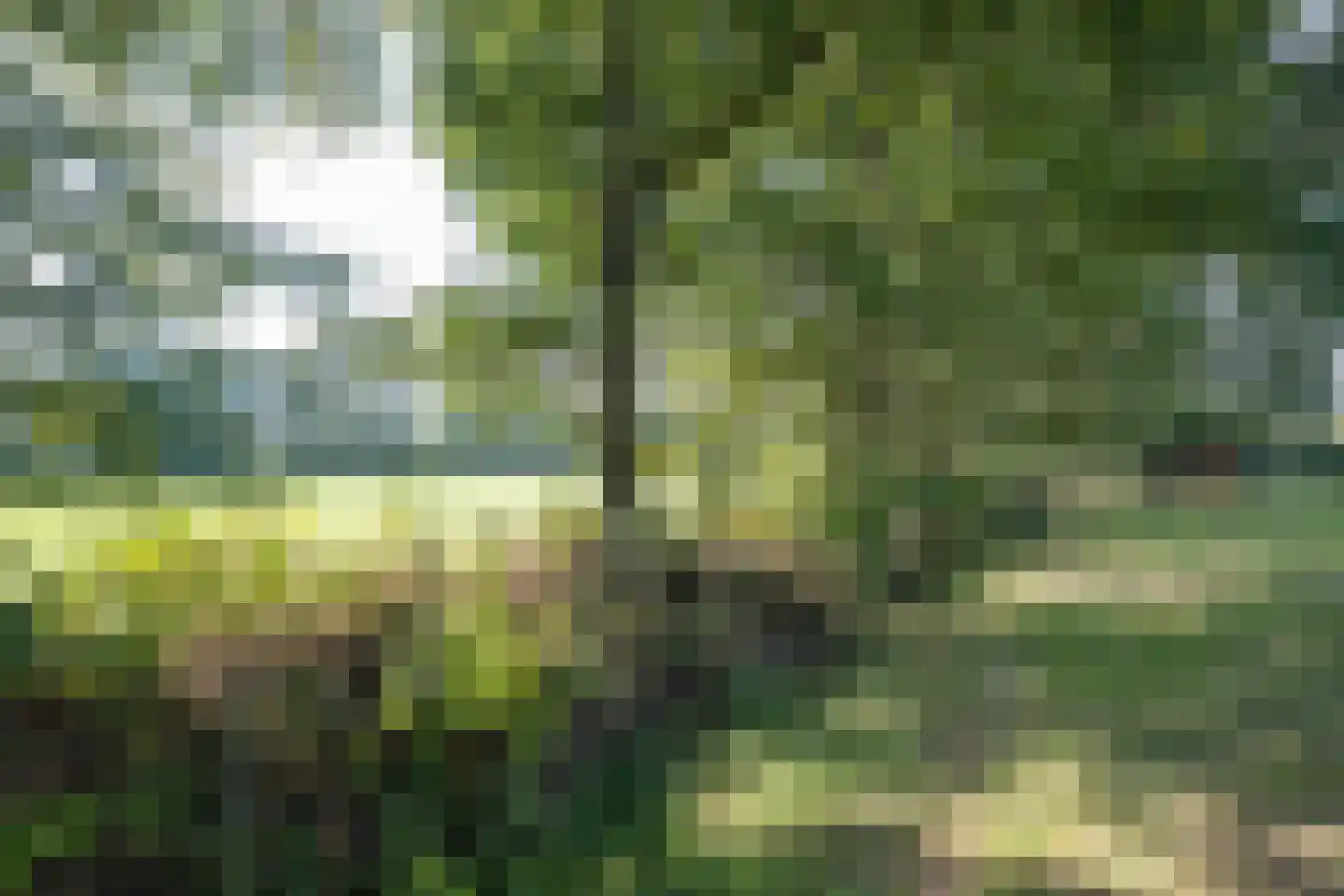 Skieppedrifte 15 Drogeham thumbnail 54