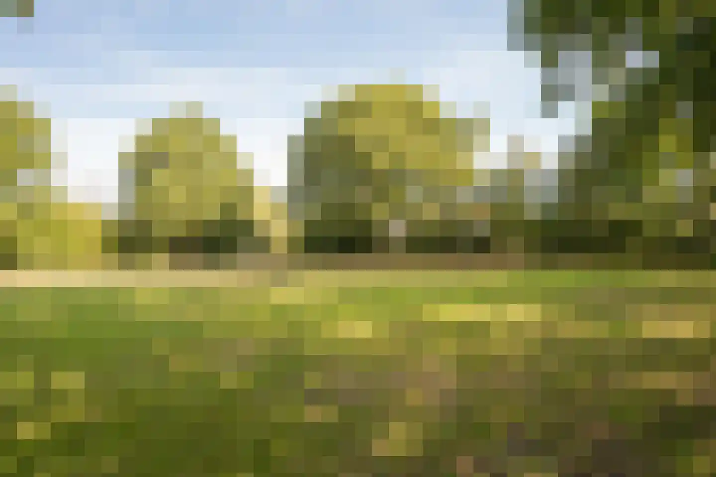 Skieppedrifte 15 Drogeham thumbnail 56
