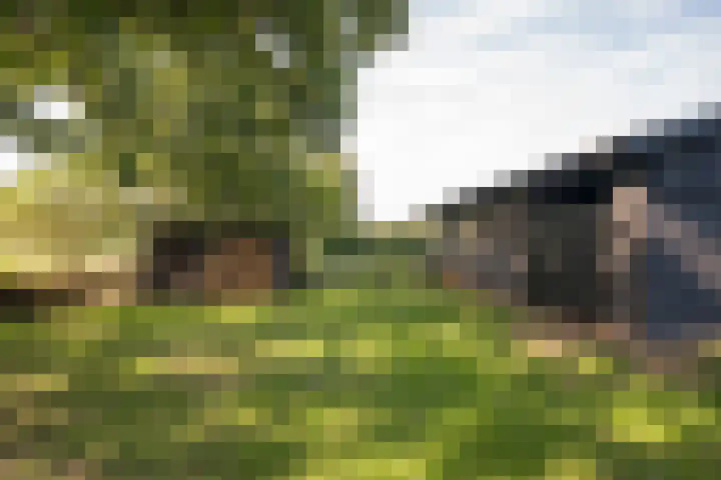 Skieppedrifte 15 Drogeham thumbnail 57