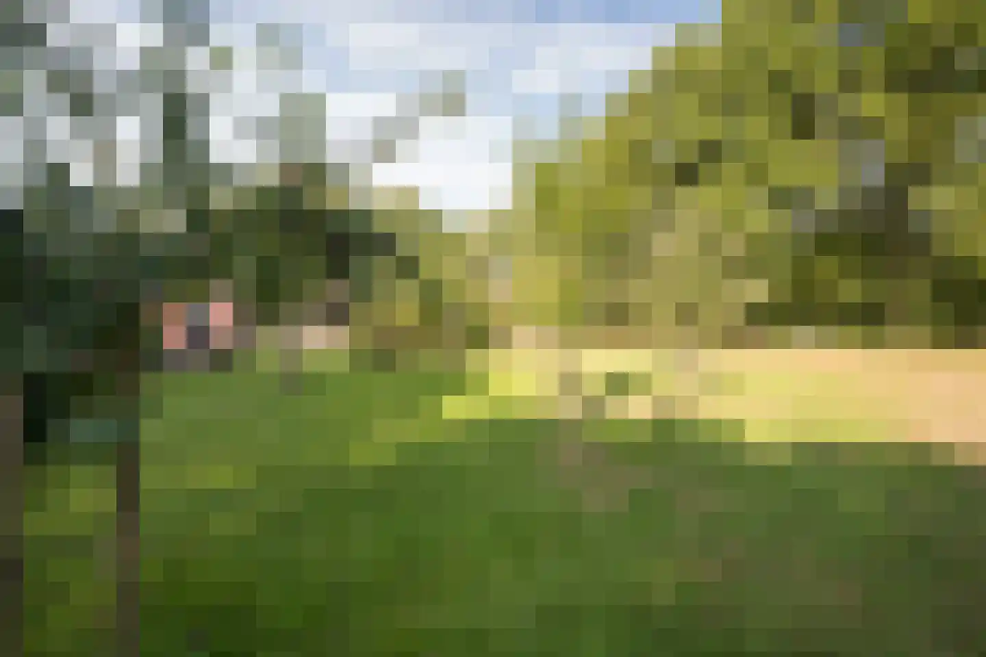 Skieppedrifte 15 Drogeham thumbnail 58