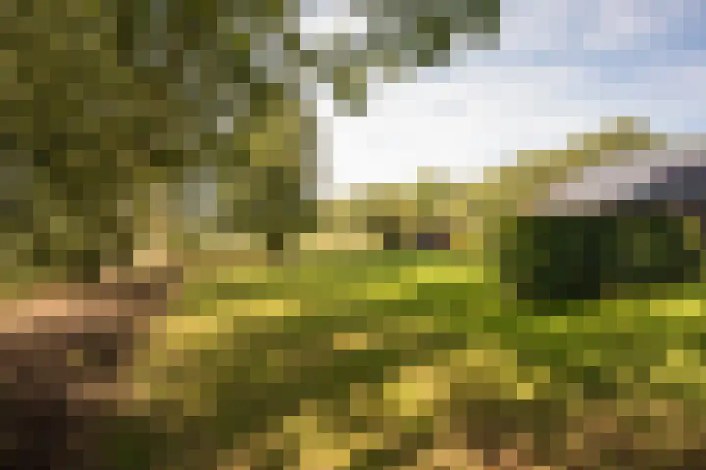 Skieppedrifte 15 Drogeham thumbnail 59