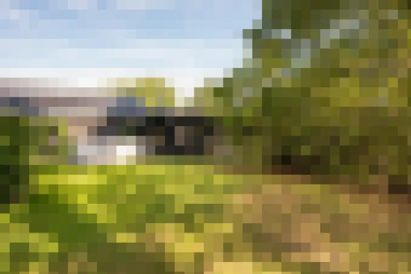 Skieppedrifte 15 Drogeham thumbnail 60