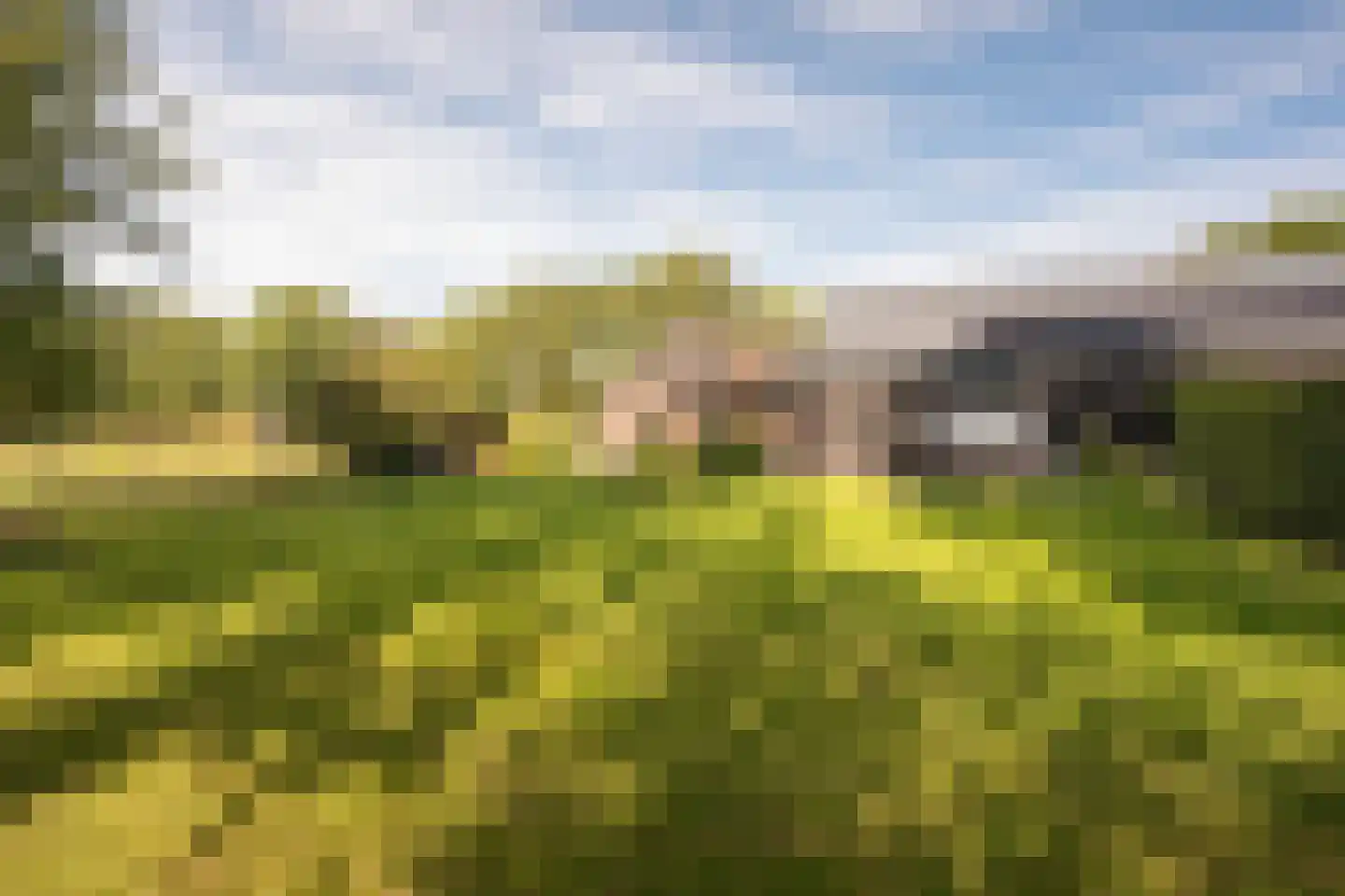 Skieppedrifte 15 Drogeham thumbnail 61