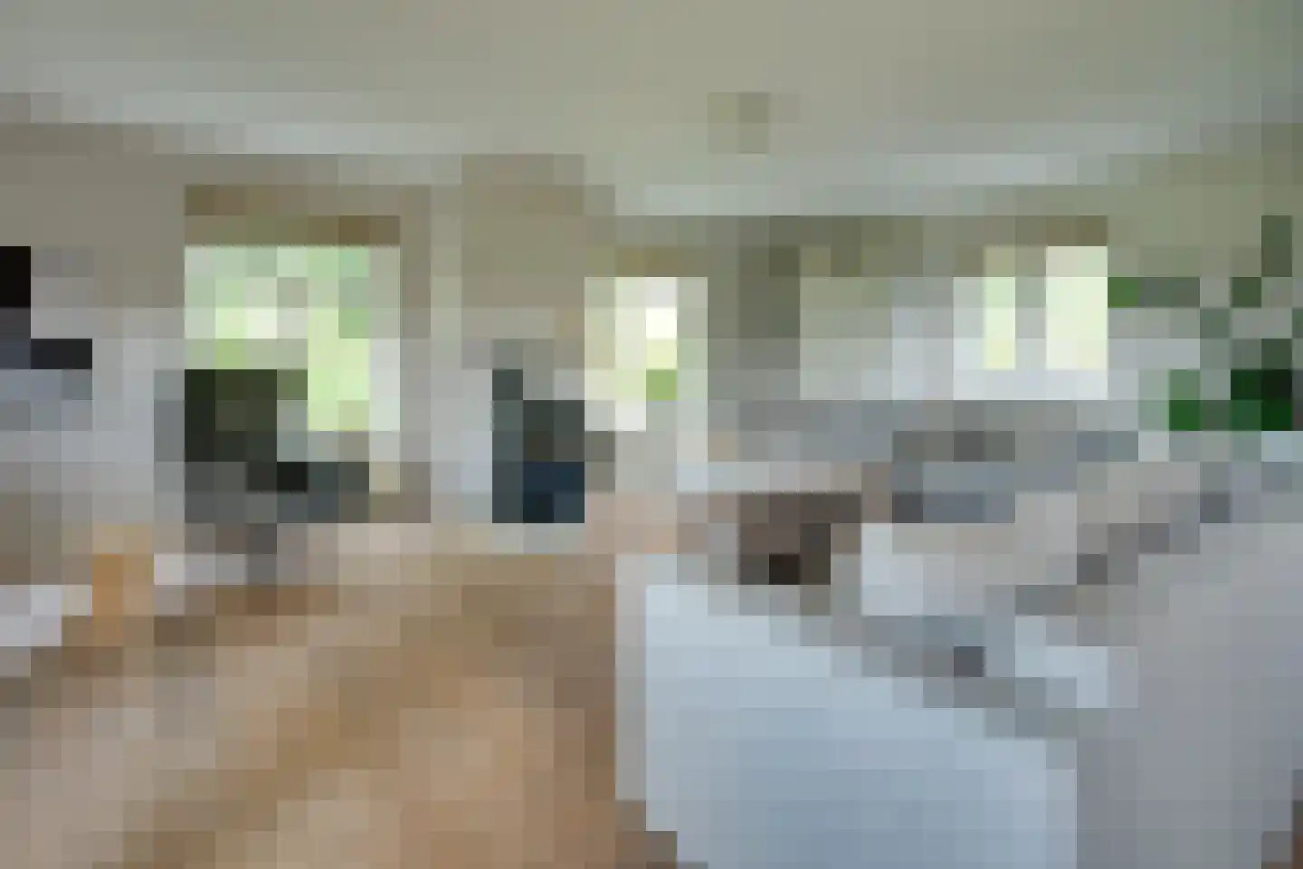 Skieppedrifte 15 Drogeham thumbnail 7