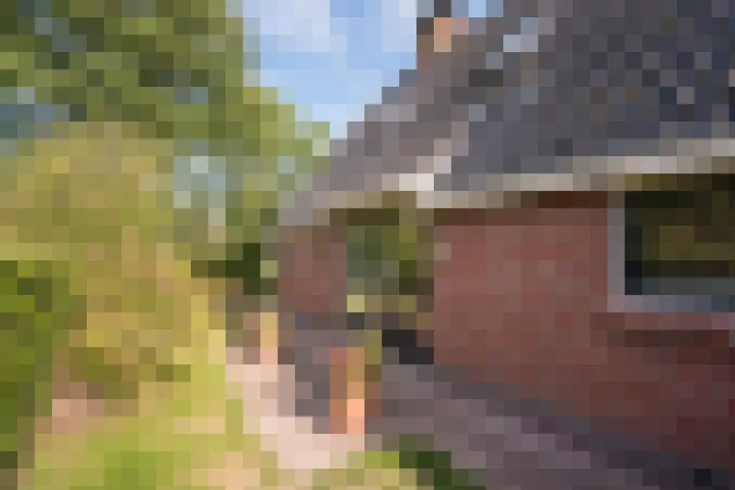 Skieppedrifte 15 Drogeham thumbnail 70