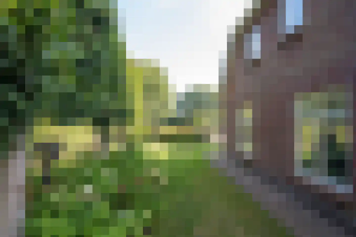 Skieppedrifte 15 Drogeham thumbnail 71