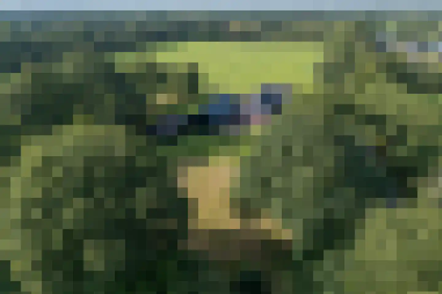 Skieppedrifte 15 Drogeham thumbnail 74
