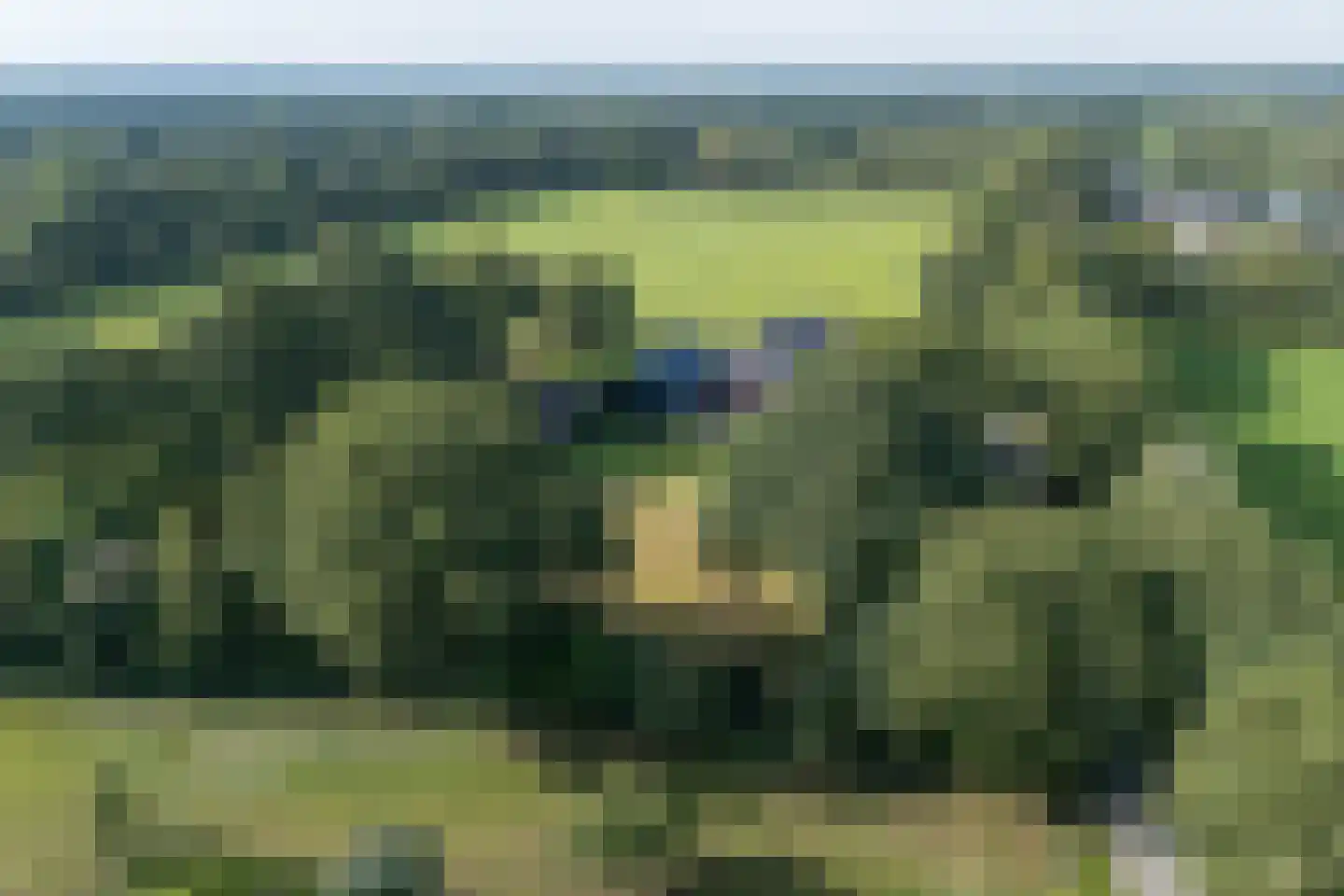 Skieppedrifte 15 Drogeham thumbnail 75